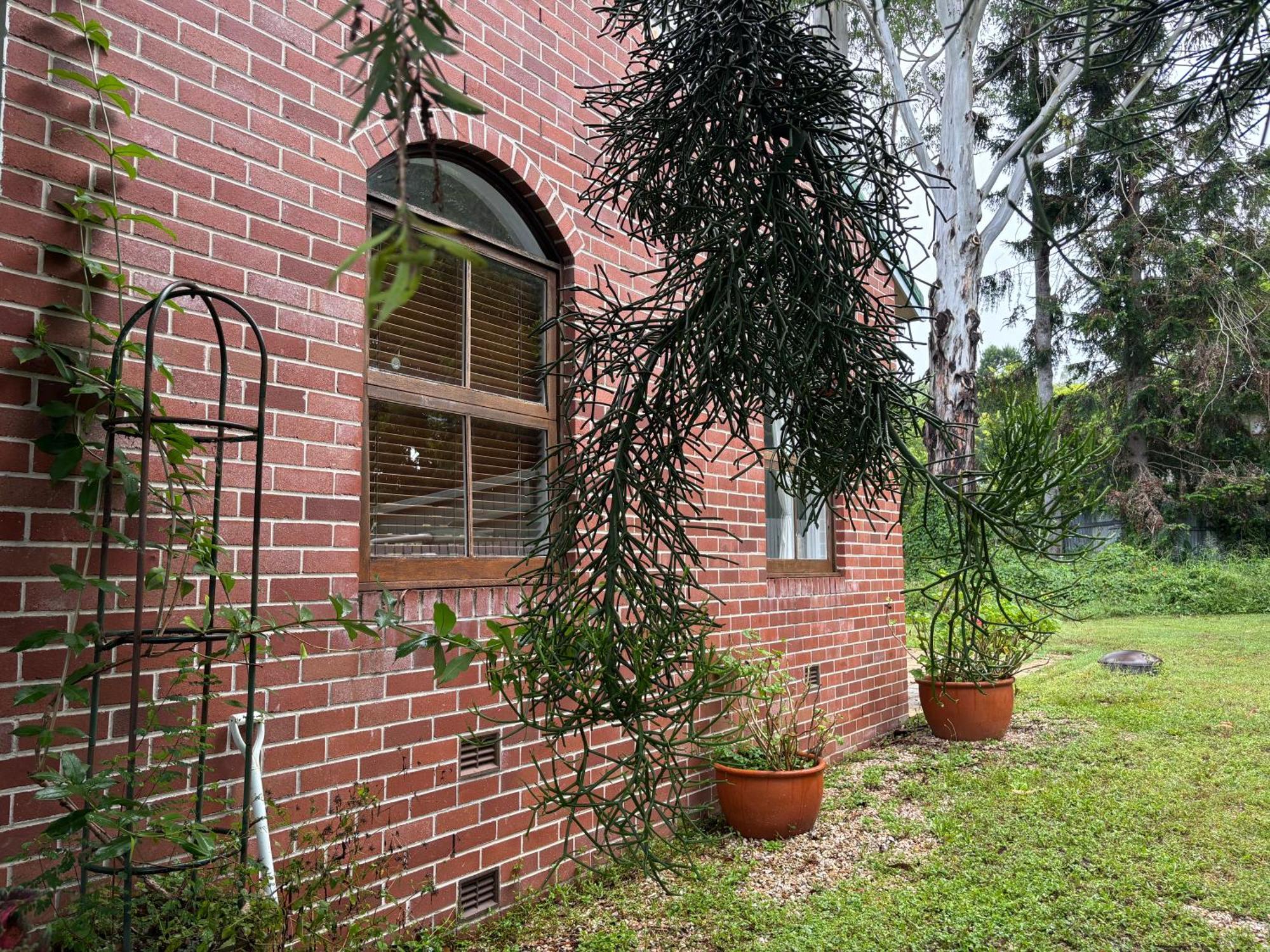 Celestial Dew Guesthouse In Tyalgum المظهر الخارجي الصورة