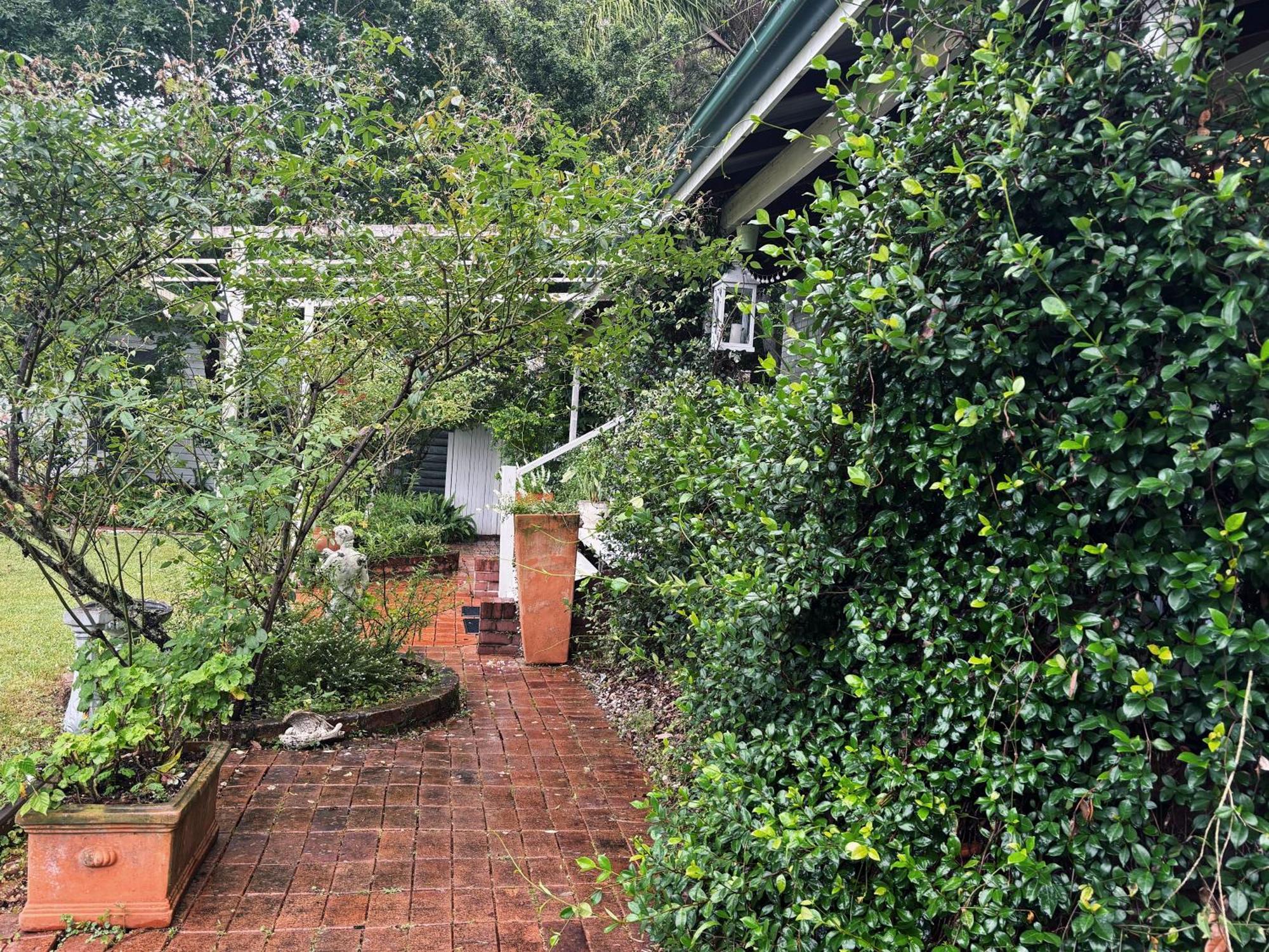 Celestial Dew Guesthouse In Tyalgum المظهر الخارجي الصورة