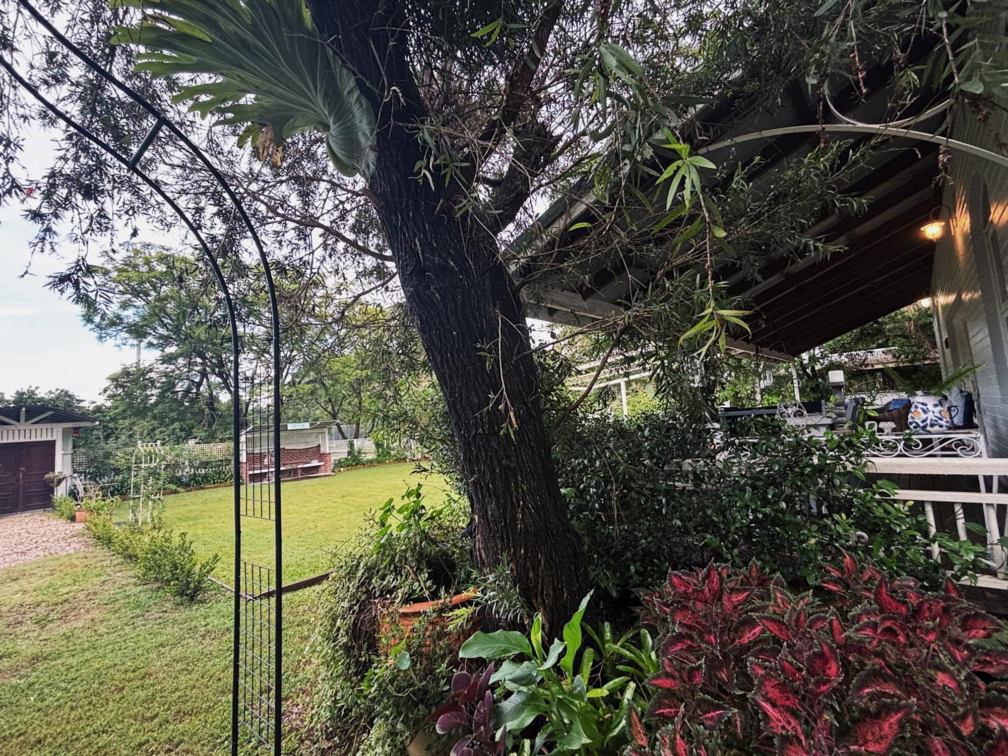 Celestial Dew Guesthouse In Tyalgum المظهر الخارجي الصورة