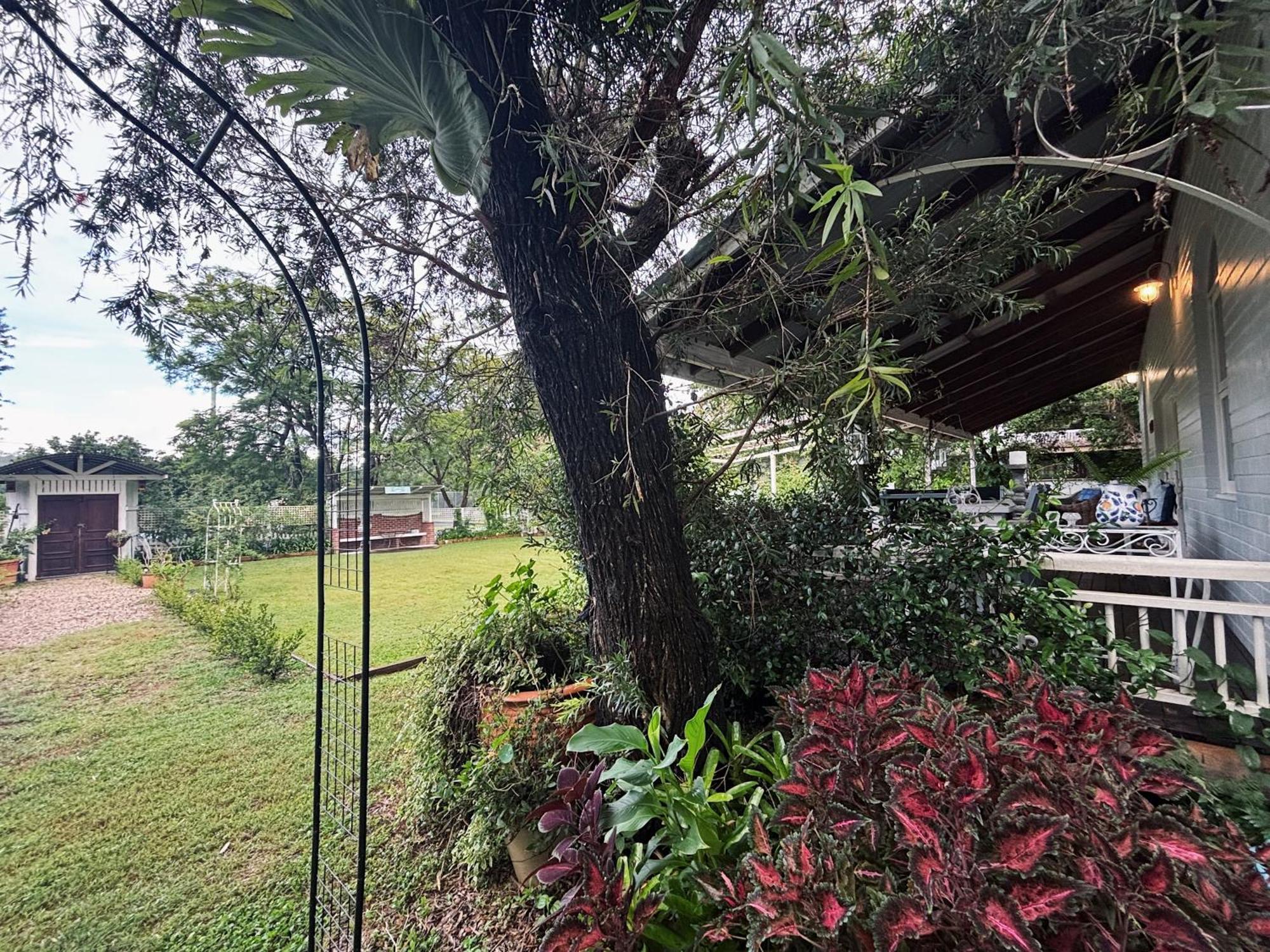 Celestial Dew Guesthouse In Tyalgum المظهر الخارجي الصورة